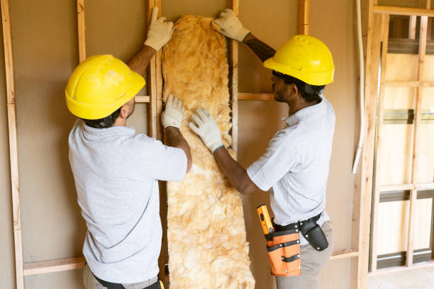 Insulation Inspection Services in Anamosa, IA