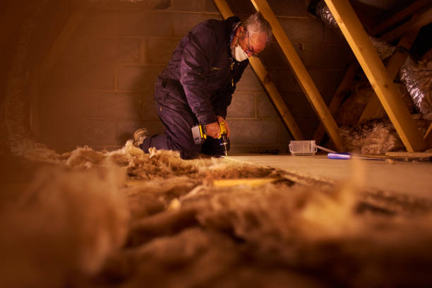 Best Commercial Insulation Contractor  in Anamosa, IA